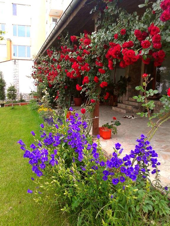 Todorovi Guest House Stara Zagora Exteriér fotografie